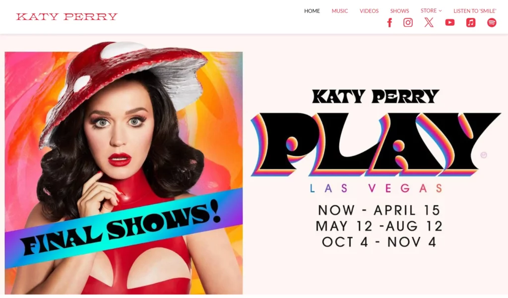Katy-perry-wordpress-site-screenshot