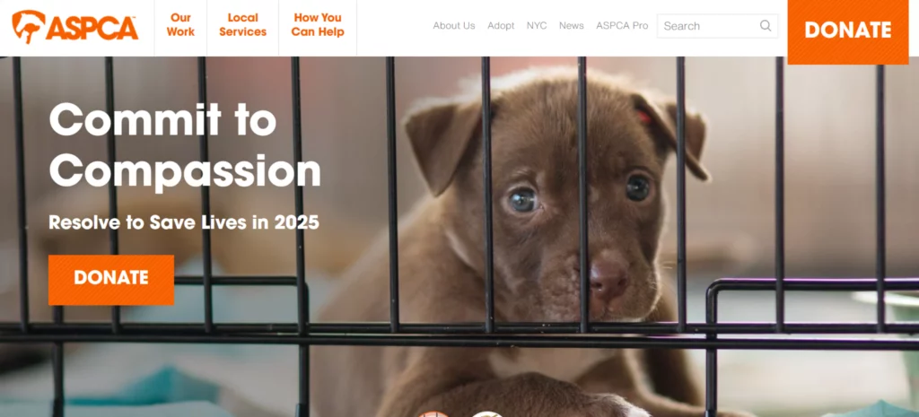 aspca home page