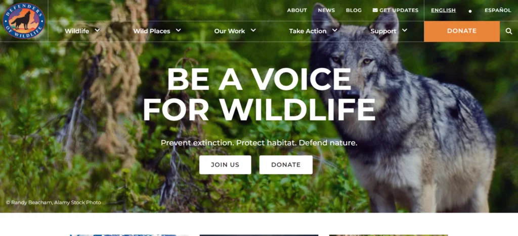 defenders of wildlife home page