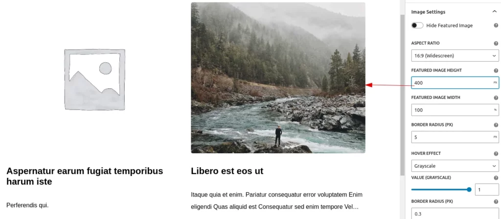 image-height-setting